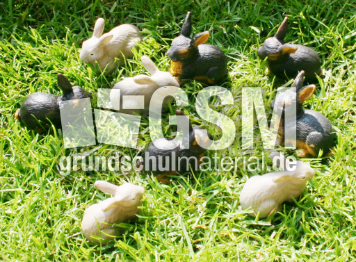 Kaninchen-4+5.jpg